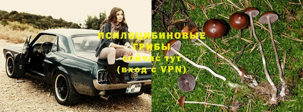 каннабис Липки